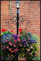 Flowers, street lamp, brick wall. Victoria, British Columbia, Canada