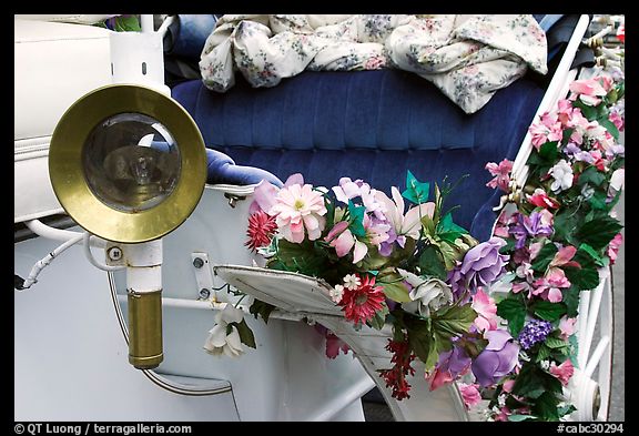 Detail of horse carriage car. Victoria, British Columbia, Canada (color)