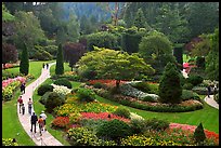 Sunken Garden. Butchart Gardens, Victoria, British Columbia, Canada ( color)