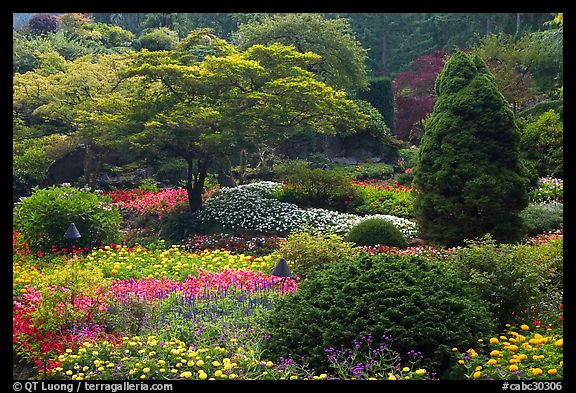 Annual flowers and trees in Sunken Garden. Butchart Gardens, Victoria, British Columbia, Canada (color)