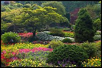 Annual flowers and trees in Sunken Garden. Butchart Gardens, Victoria, British Columbia, Canada (color)