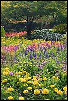 Annual flowers and trees in Sunken Garden. Butchart Gardens, Victoria, British Columbia, Canada (color)