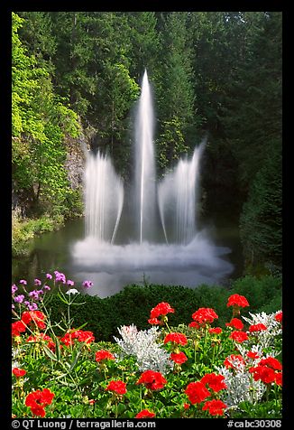 Ross Fountain and flowers. Butchart Gardens, Victoria, British Columbia, Canada