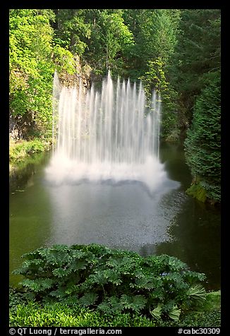 Ross Fountain. Butchart Gardens, Victoria, British Columbia, Canada