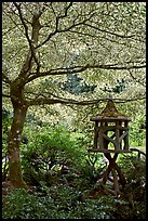 Lantern and Variegated Dogwood, Japanese Garden. Butchart Gardens, Victoria, British Columbia, Canada