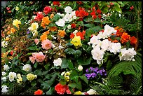 Flower arrangement in the Show Greenhouse. Butchart Gardens, Victoria, British Columbia, Canada