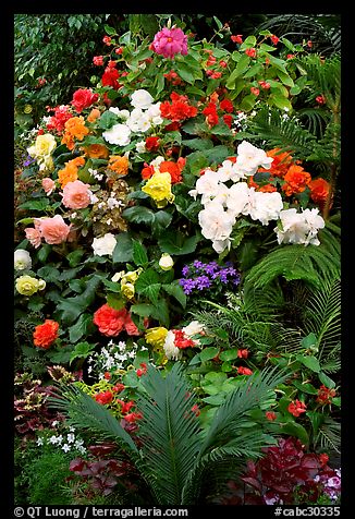 Flower arrangement in the Show Greenhouse. Butchart Gardens, Victoria, British Columbia, Canada