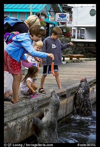 Kids feeding harbour seals, Fisherman's wharf. Victoria, British Columbia, Canada (color)