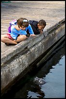 Kidds looking at a harbor seal, Fisherman's wharf. Victoria, British Columbia, Canada ( color)