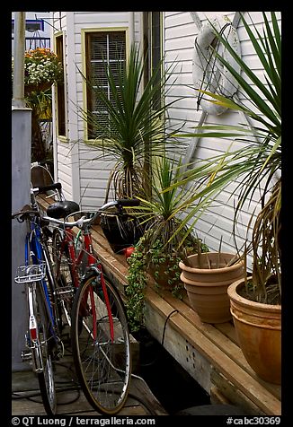 Bicycles, potted plants, and houseboat. Victoria, British Columbia, Canada (color)