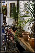 Bicycles, potted plants, and houseboat. Victoria, British Columbia, Canada (color)