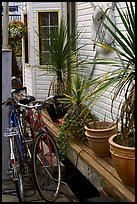 Bicycles, potted plants, and houseboat. Victoria, British Columbia, Canada