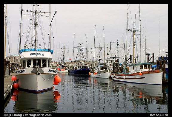 Commercial fishing boats, Upper Harbor. Victoria, British Columbia, Canada (color)