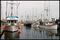 Commercial fishing boats, Upper Harbor. Victoria, British Columbia, Canada (color)