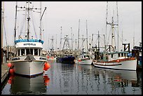 Commercial fishing boats, Upper Harbor. Victoria, British Columbia, Canada