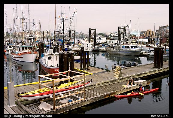 Kayaker ready to launch,  Upper Harbor. Victoria, British Columbia, Canada