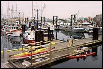 Kayaker ready to launch,  Upper Harbor. Victoria, British Columbia, Canada ( color)