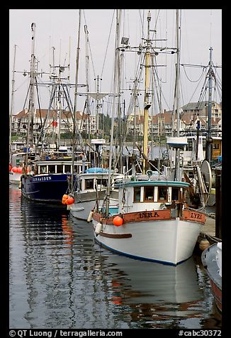 Commercial fishing fleet, Upper Harbour. Victoria, British Columbia, Canada