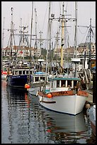 Commercial fishing fleet, Upper Harbour. Victoria, British Columbia, Canada (color)