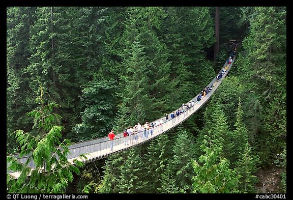 Capilano suspension bridge. Vancouver, British Columbia, Canada (color)