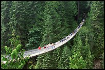 Capilano suspension bridge. Vancouver, British Columbia, Canada ( color)