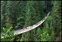 Capilano suspension bridge. Vancouver, British Columbia, Canada (color)