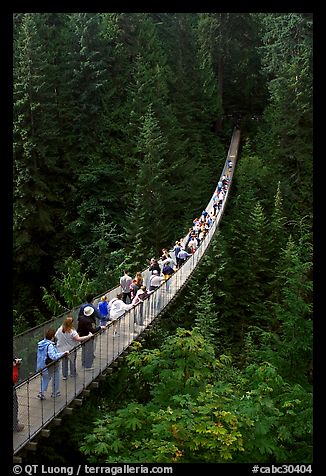 Capilano suspension bridge. Vancouver, British Columbia, Canada (color)