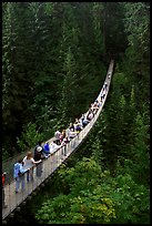 Capilano suspension bridge. Vancouver, British Columbia, Canada