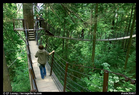 Treetop trail. Vancouver, British Columbia, Canada (color)