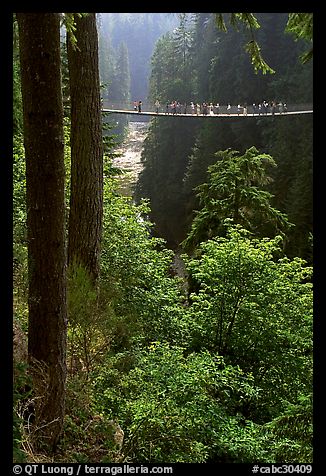 Capilano suspension bridge. Vancouver, British Columbia, Canada (color)