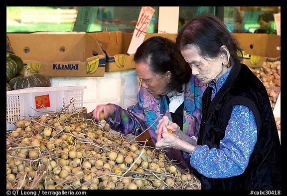 Two elderly women choosing tropical fruit. Vancouver, British Columbia, Canada