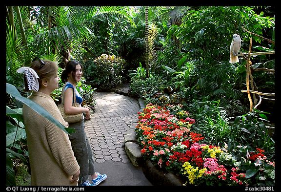 Women listening to the white parrot, Bloedel conservatory, Queen Elizabeth Park. Vancouver, British Columbia, Canada (color)