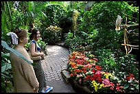 Women listening to the white parrot, Bloedel conservatory, Queen Elizabeth Park. Vancouver, British Columbia, Canada (color)