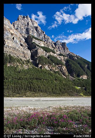 Mt Stephen and the Kicking Horse River, late afternoon. Yoho National Park, Canadian Rockies, British Columbia, Canada (color)