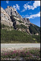 Mt Stephen and the Kicking Horse River, late afternoon. Yoho National Park, Canadian Rockies, British Columbia, Canada (color)