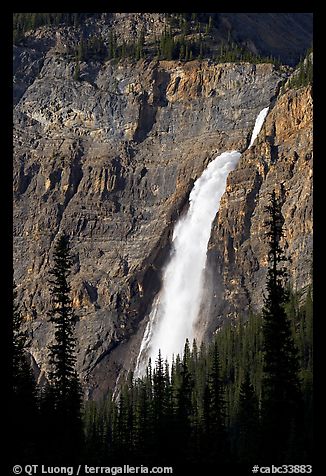 Takakkaw Falls from Yoho Valley Road, late afternoon. Yoho National Park, Canadian Rockies, British Columbia, Canada