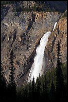 Takakkaw Falls from Yoho Valley Road, late afternoon. Yoho National Park, Canadian Rockies, British Columbia, Canada (color)