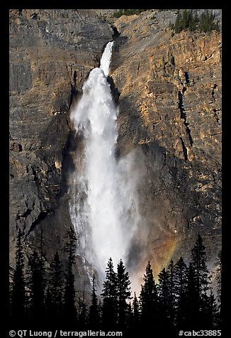 Takakaw Falls, trees and rainbow arc. Yoho National Park, Canadian Rockies, British Columbia, Canada