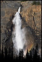 Takakaw Falls, trees and rainbow arc. Yoho National Park, Canadian Rockies, British Columbia, Canada ( color)