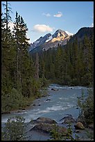 Yoho River, trees, and Cathedral Crags, late afternoon. Yoho National Park, Canadian Rockies, British Columbia, Canada ( color)