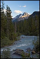 Yoho River, trees, and Cathedral Crags, late afternoon. Yoho National Park, Canadian Rockies, British Columbia, Canada