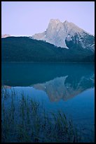 Reeds and Mount Burgess reflected in Emerald Lake, dusk. Yoho National Park, Canadian Rockies, British Columbia, Canada