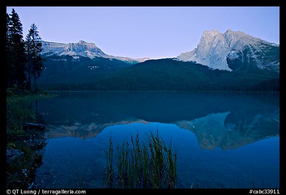 Mount Burgess and Wapta Mountain reflected in Emerald Lake, dusk. Yoho National Park, Canadian Rockies, British Columbia, Canada (color)