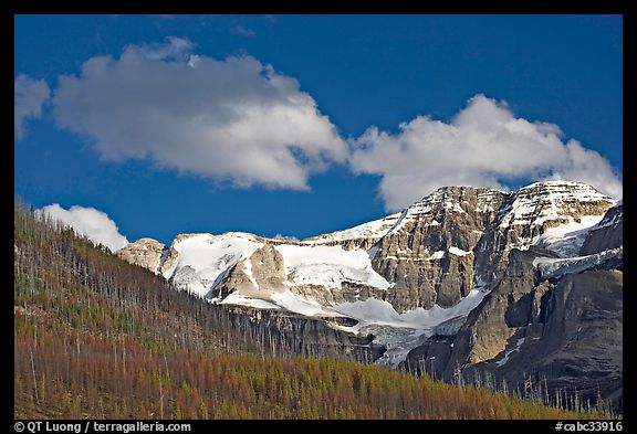 Stanley Glacier, afternoon. Kootenay National Park, Canadian Rockies, British Columbia, Canada