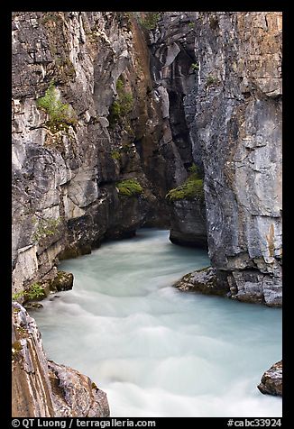 Tokkum Creek at the entrance of narrows of Marble Canyon. Kootenay National Park, Canadian Rockies, British Columbia, Canada (color)