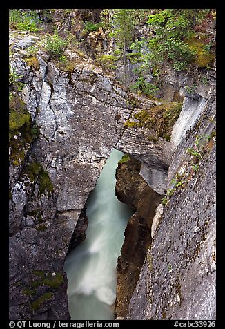 Natural bridge in Marble Canyon. Kootenay National Park, Canadian Rockies, British Columbia, Canada (color)