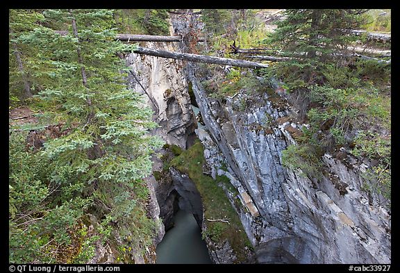 Narrow gorge spanned by fallen trees, Marble Canyon. Kootenay National Park, Canadian Rockies, British Columbia, Canada (color)