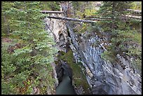 Narrow gorge spanned by fallen trees, Marble Canyon. Kootenay National Park, Canadian Rockies, British Columbia, Canada (color)