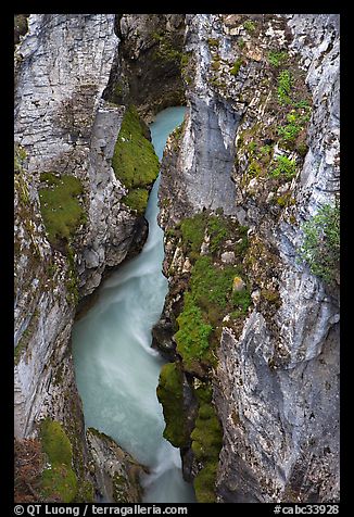 Limestone walls carved by Tokkum Creek, Marble Canyon. Kootenay National Park, Canadian Rockies, British Columbia, Canada (color)