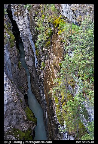 Marble Canyon 36 meter deep narrow gorge. Kootenay National Park, Canadian Rockies, British Columbia, Canada (color)